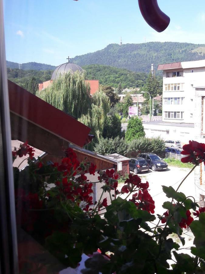 Felicita Apartment Brasov Luaran gambar
